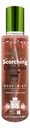 Body Mist Scorching Christmas Con Aloe Vera By Life Products
