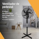 Ventilador De Pedestal Practika 16 Pulgadas, 2 Velocidades Color De La Estructura Negro