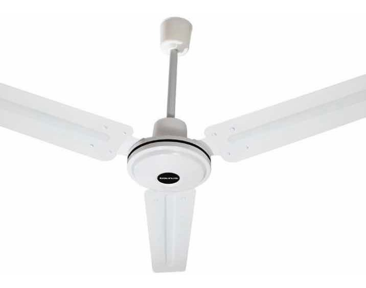 Ventilador De Techo 56  Apus Taurus 3 Velocidades Color De La Estructura Blanco Color De Las Aspas Blanco